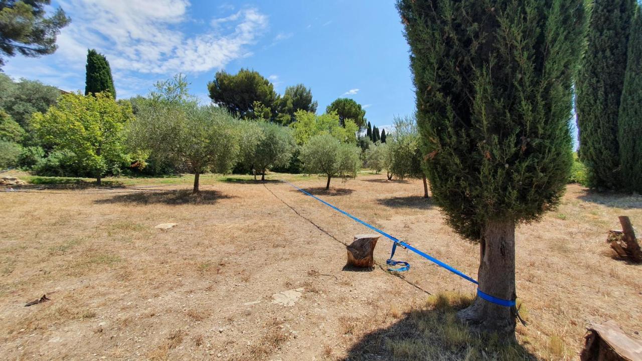 Terres Du Baguier Villa Ceyreste Exterior photo